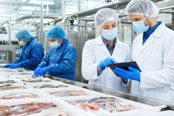food production temporary staff working in a cold environment
