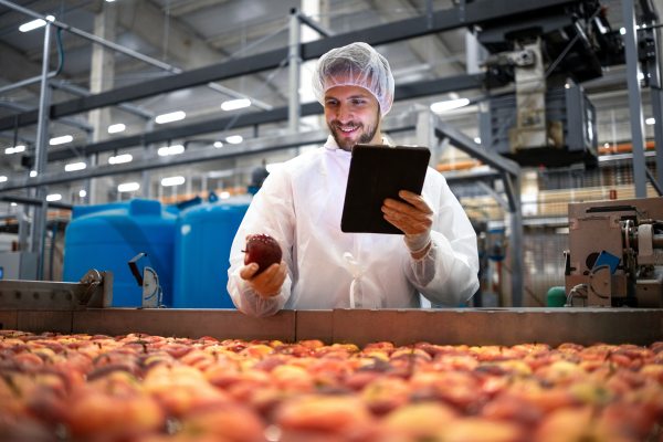 temporary staff working on food grade production line